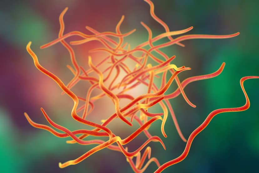 Pinworms: A-to-Z Guide from Diagnosis to Treatment to Prevention | DrGreene